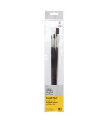 Winsor and Newton Galeria Brush set 5790609