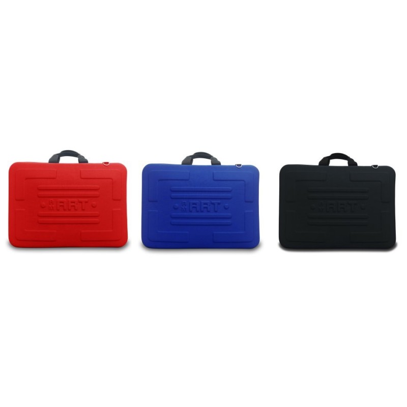 AM Art Case